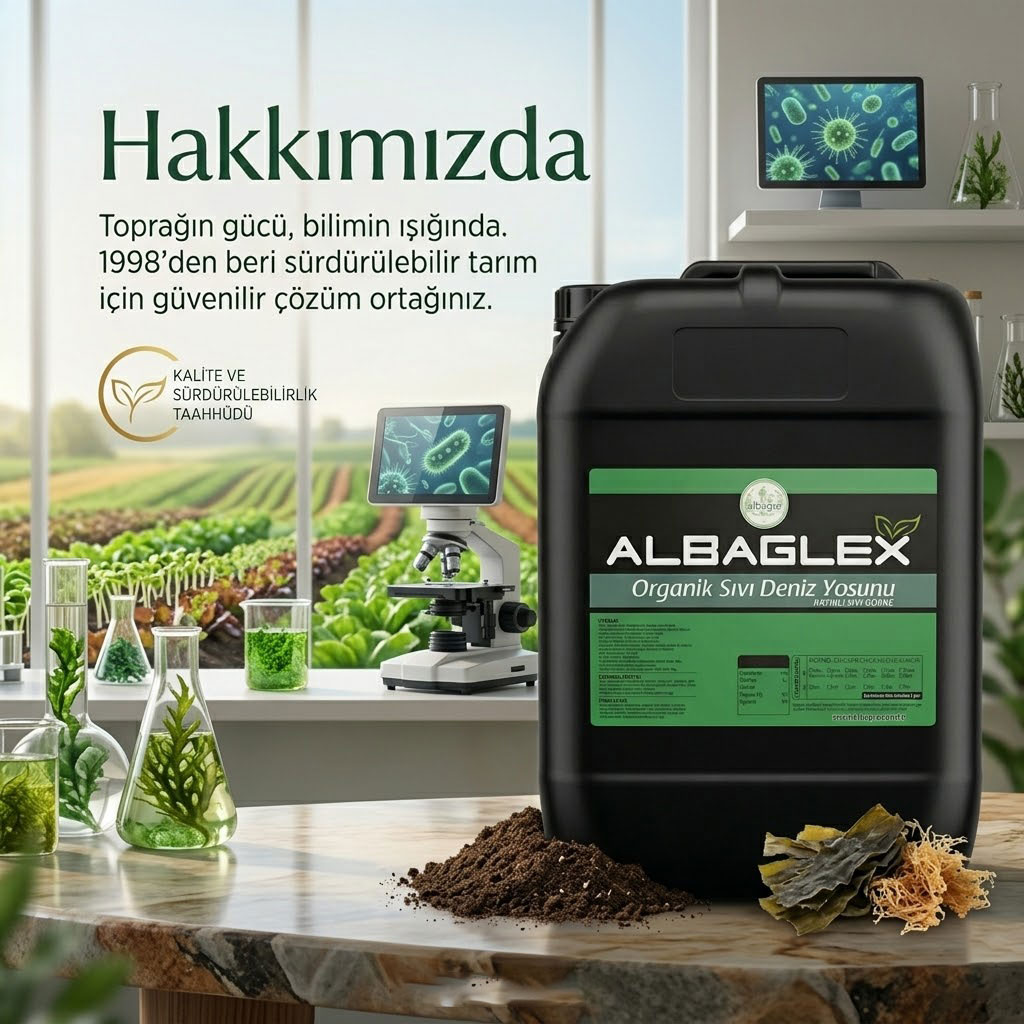 HAKKIMIZDA